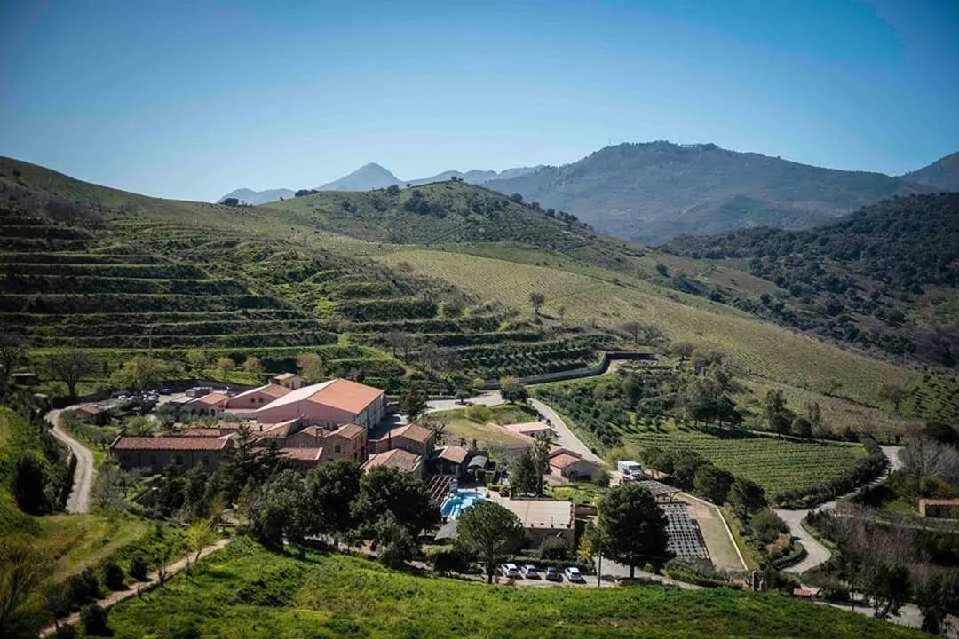 Wine tasting in the heart of the Madonie Mountains with optional lunch